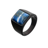 TERRA FIRMA Black Steel and Blue Sodalite Signet Ring for Men